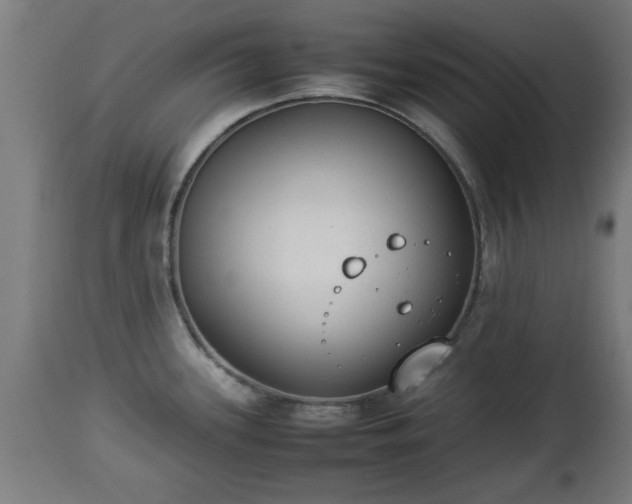 X0000112851339200908281554