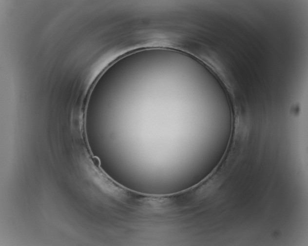 X0000112851340200908281554