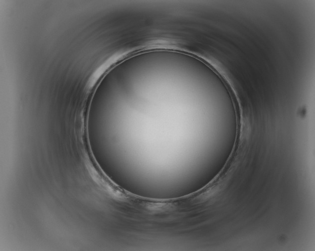 X0000112851341200908281554