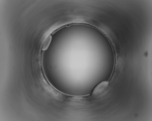 X0000112851342200908281554