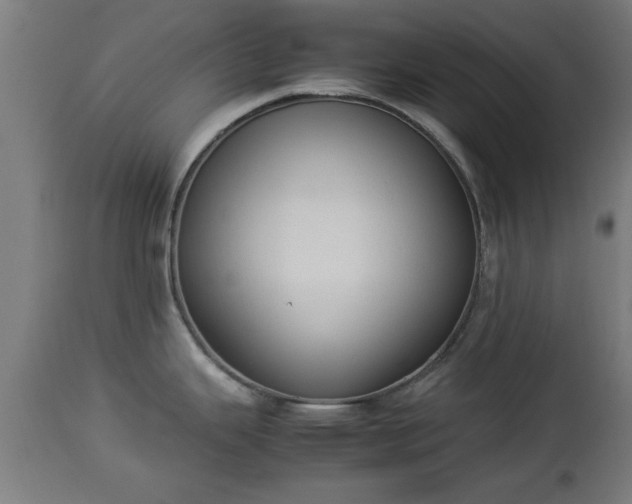 X0000112851343200908281554