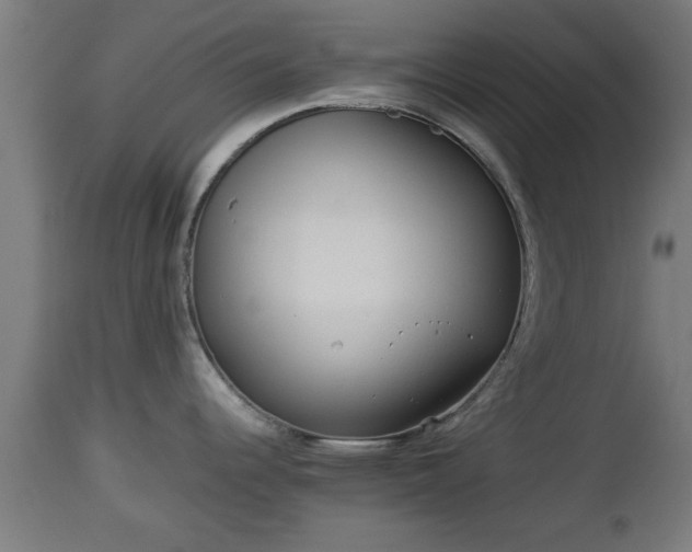 X0000112851344200908281554