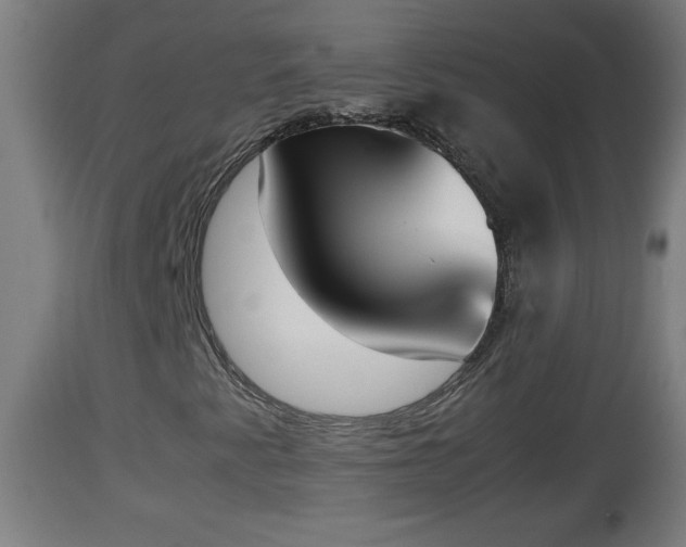X0000112851345200908281553