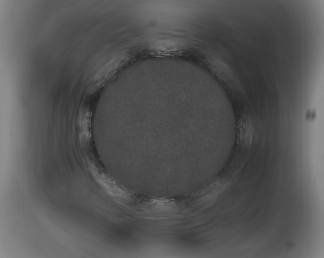 X0000112851346200908281553
