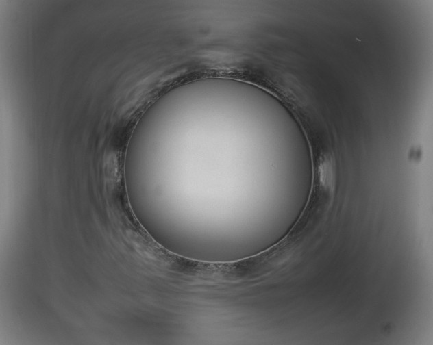 X0000112851347200908281553