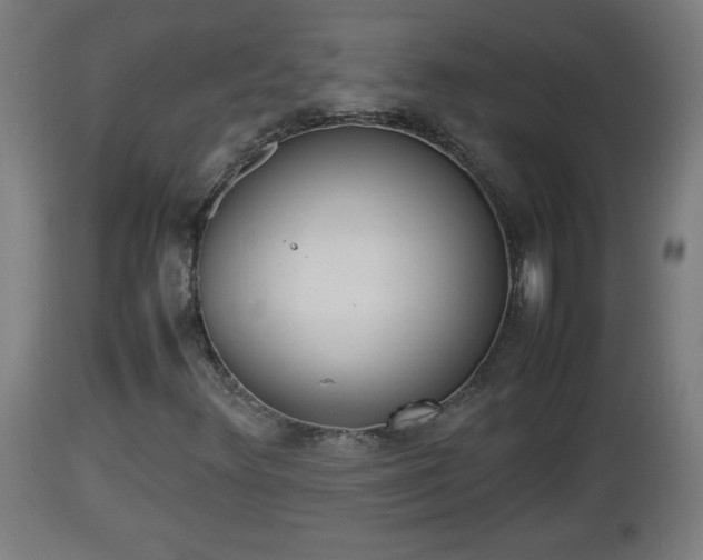 X0000112851348200908281553