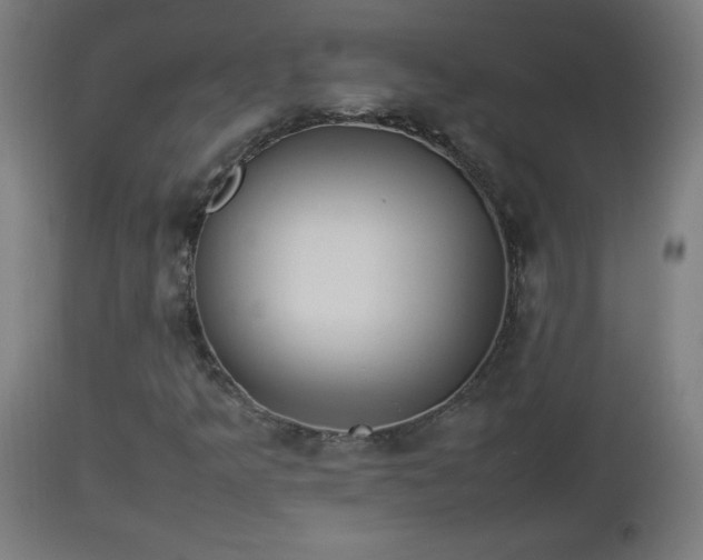X0000112851349200908281553
