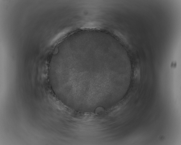 X0000112851350200908281553
