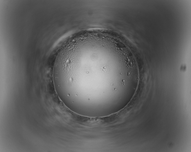 X0000112851351200908281553