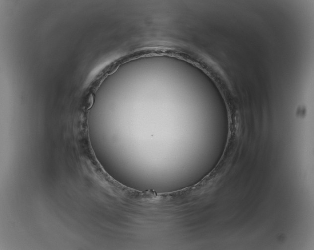X0000112851352200908281553
