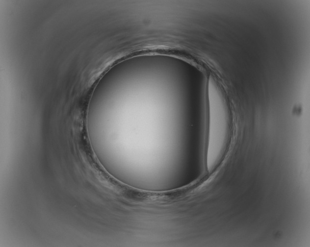 X0000112851353200908281553