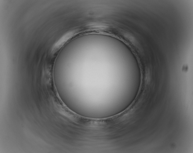 X0000112851354200908281553