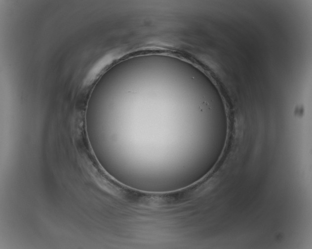 X0000112851355200908281553