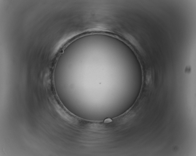 X0000112851356200908281553