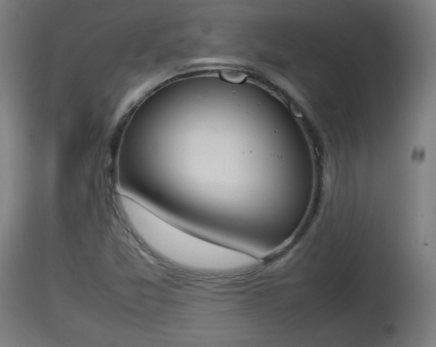 X0000112851357200908281553