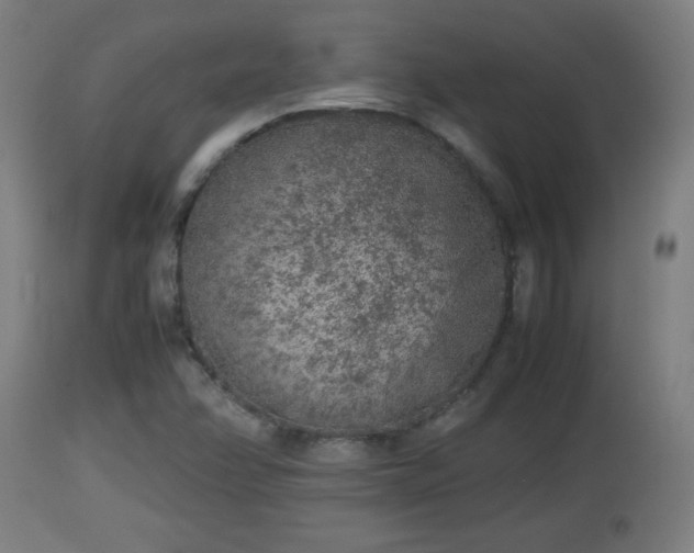 X0000112851358200908281553