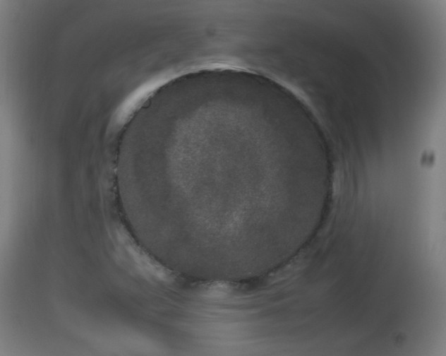 X0000112851359200908281553