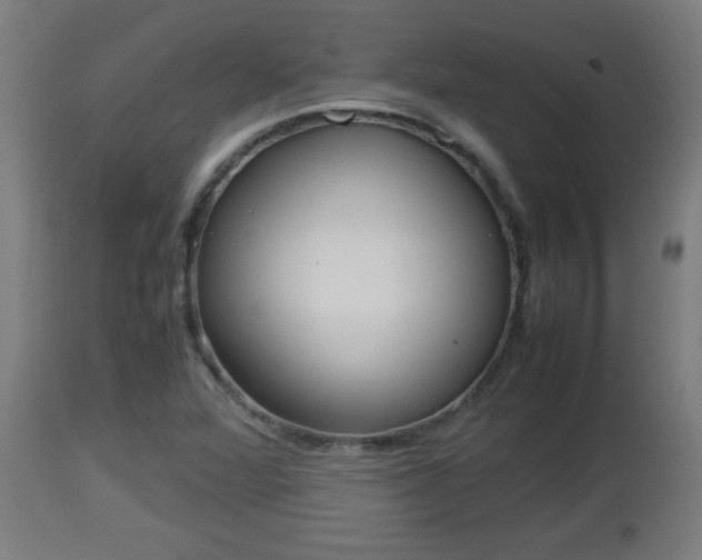X0000112851360200908281553