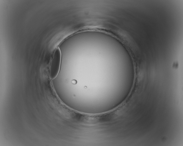 X0000112851361200908281553