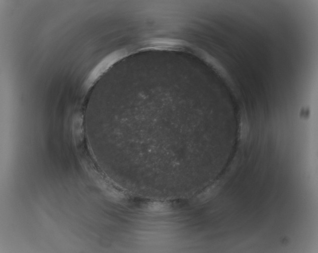 X0000112851362200908281553