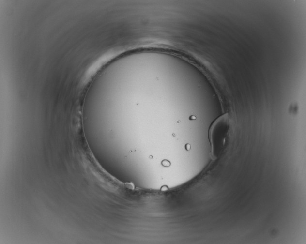 X0000112851363200908281553