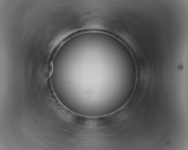 X0000112851364200908281553
