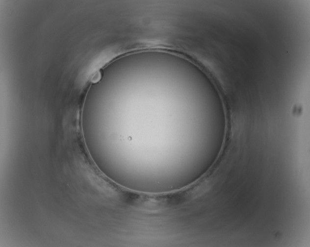X0000112851365200908281553