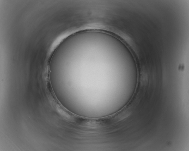 X0000112851366200908281553