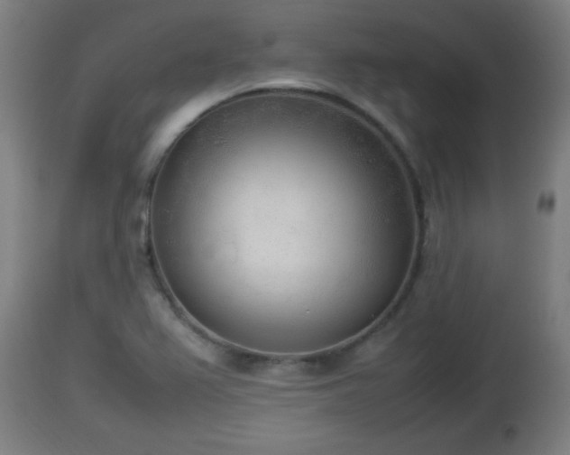 X0000112851367200908281553