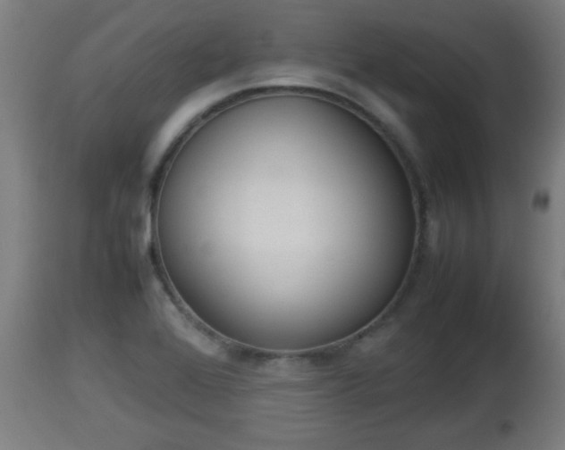 X0000112851368200908281553