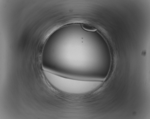 X0000112851369200908281553