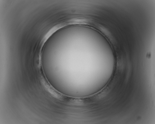 X0000112851370200908281553