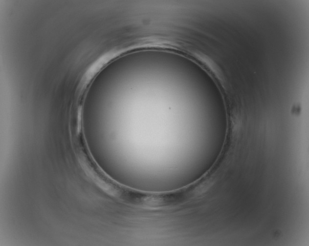 X0000112851371200908281553