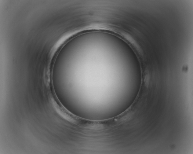 X0000112851372200908281553