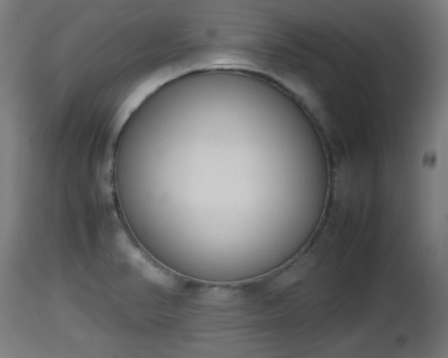 X0000112851374200908281553