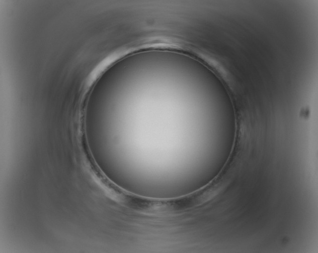 X0000112851375200908281553