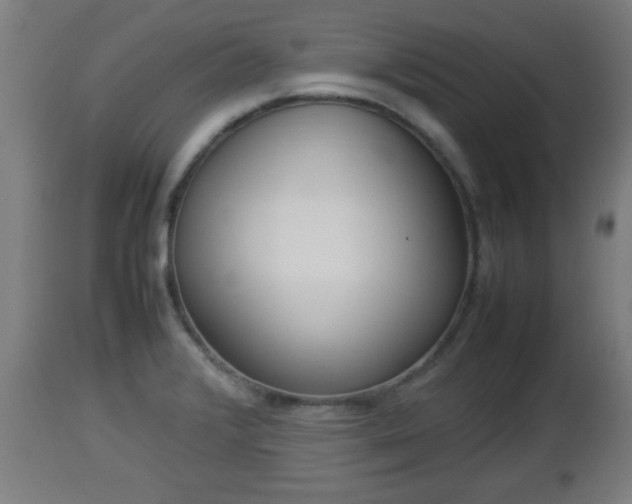 X0000112851376200908281553