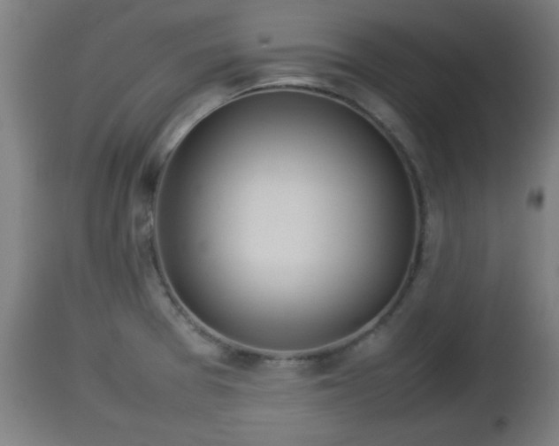 X0000112851377200908281553