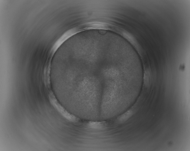 X0000112851378200908281553