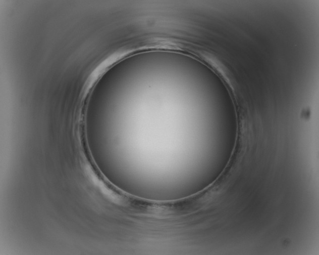 X0000112851379200908281553