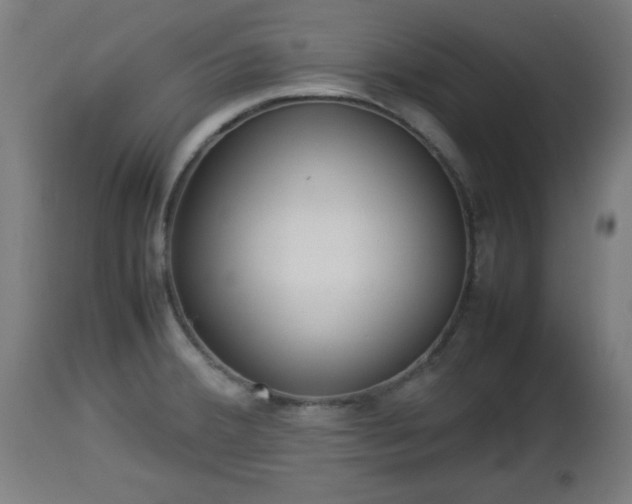 X0000112851380200908281553