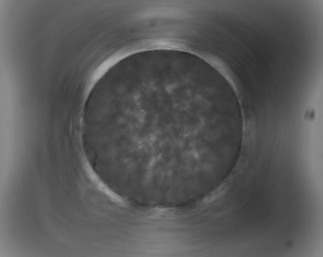 X0000112851381200908281553