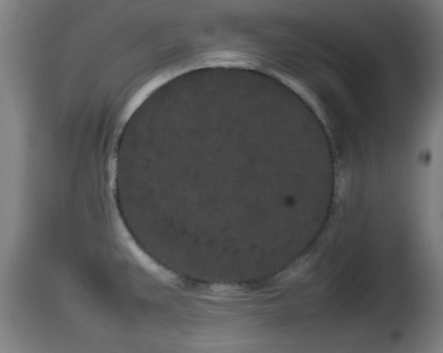 X0000112851383200908281553