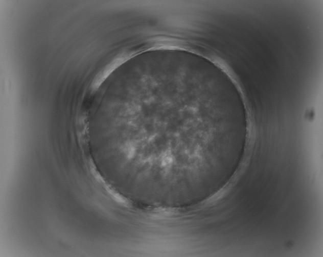 X0000112851385200908281553