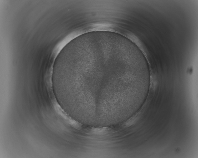X0000112851386200908281553