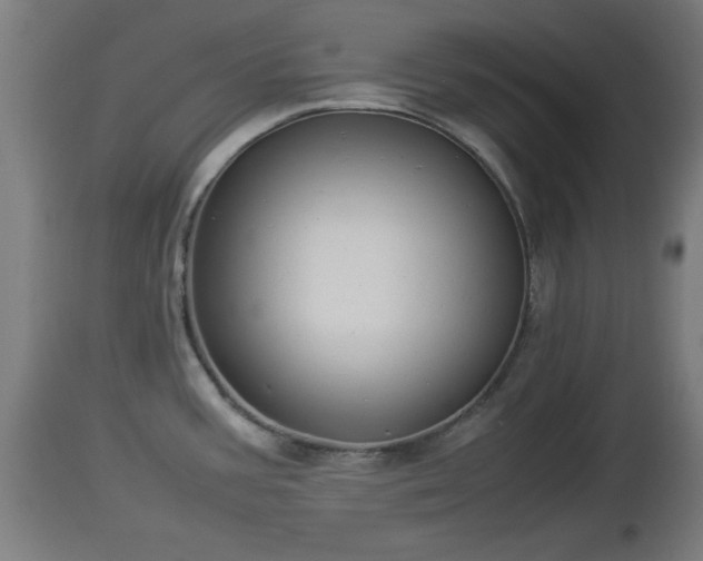 X0000112851387200908281553