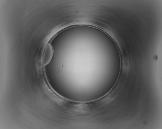 X0000112851388200908281553