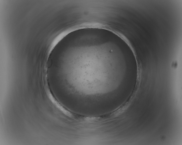 X0000112851389200908281553