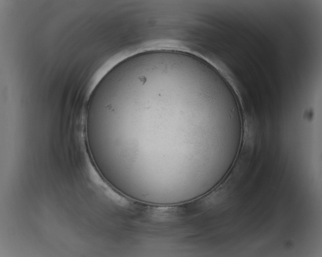 X0000112851390200908281553