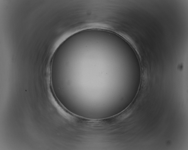 X0000112851391200908281553